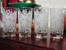 Libbey Glass Tumblers Frosted Birds Rose Bushes Vintage