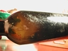 17th Century Brown Slag Beer Bottle Ascension Island