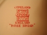 Copeland Spode Rose Briar Plate c. 1920  England