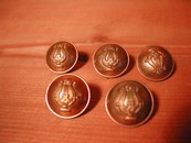 Vintage French Brass Buttons (set of five)