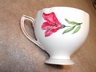 Cranberry Lilies Staffordshire Teacup & Saucer